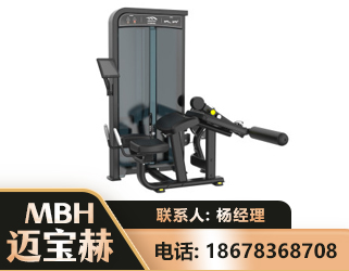 鹤岗卧式屈腿训练器