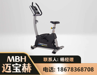 鹤岗立式健身车
